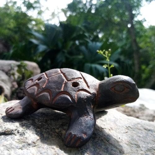 فندق La Cima Tayrona سانتا مارتا المظهر الخارجي الصورة