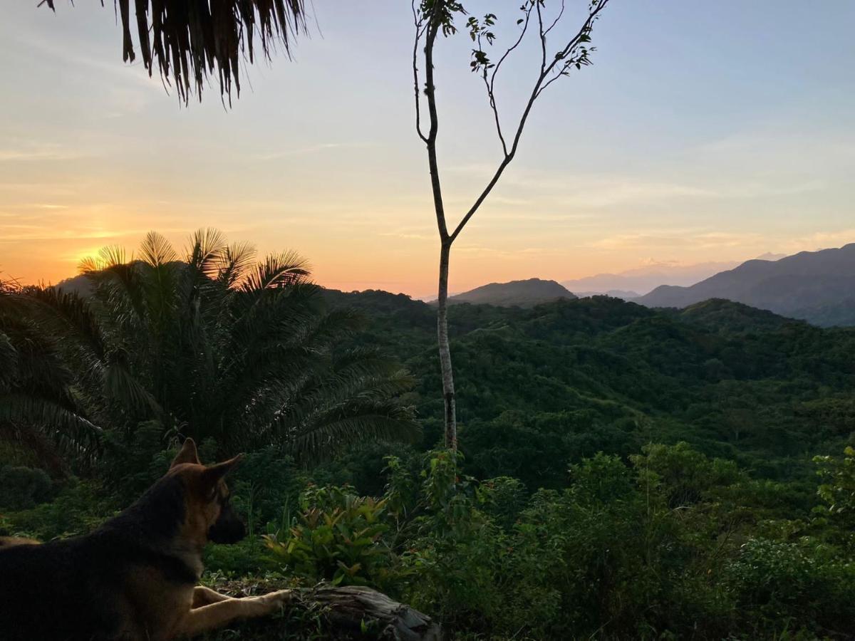 فندق La Cima Tayrona سانتا مارتا المظهر الخارجي الصورة