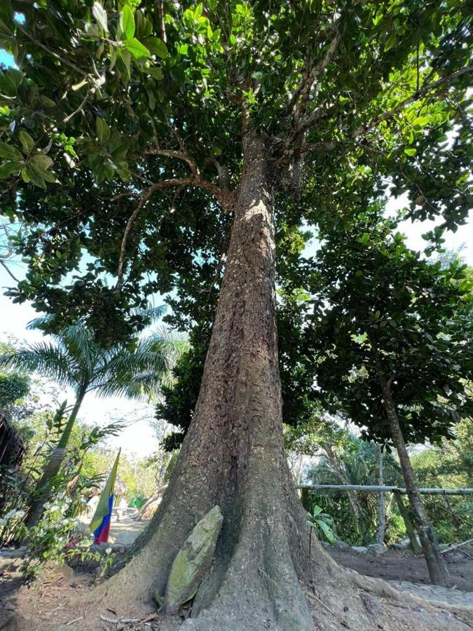 فندق La Cima Tayrona سانتا مارتا المظهر الخارجي الصورة